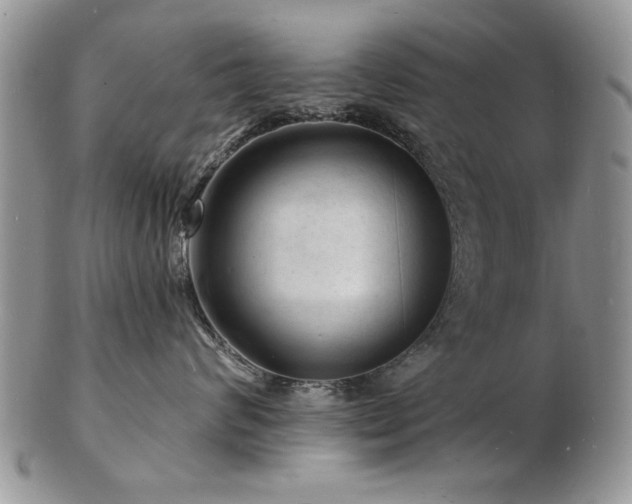 X0000103240624200808281442