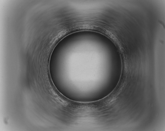 X0000103240625200808281442