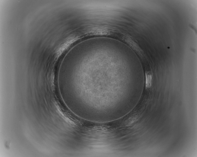 X0000103240627200808281442