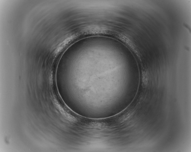 X0000103240629200808281442