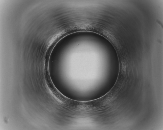X0000103240630200808281442