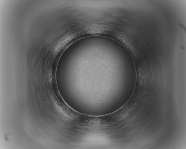 X0000103240631200808281442