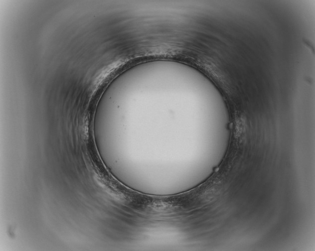 X0000103240632200808281442