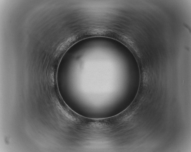 X0000103240633200808281442