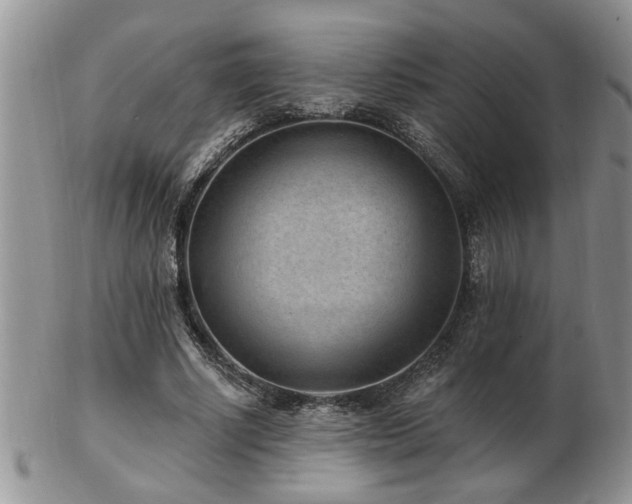 X0000103240634200808281442