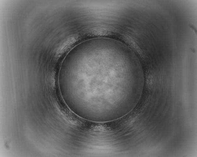 X0000103240635200808281442