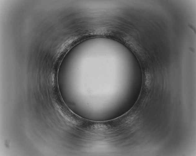 X0000103240636200808281442