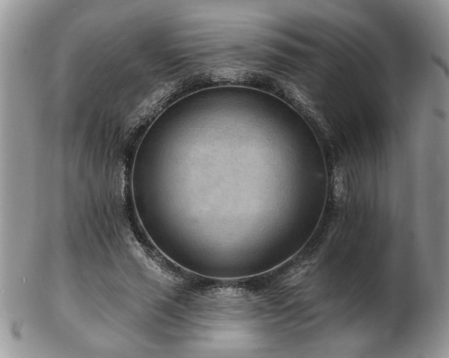 X0000103240637200808281442