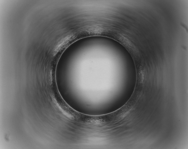 X0000103240638200808281442