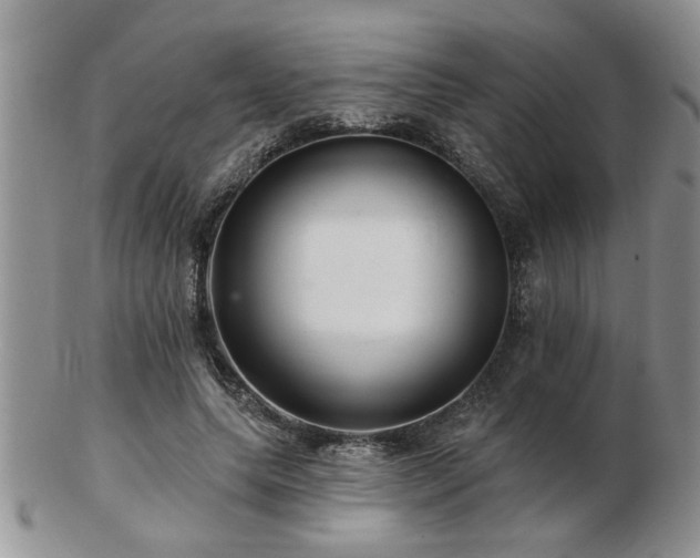 X0000103240639200808281442