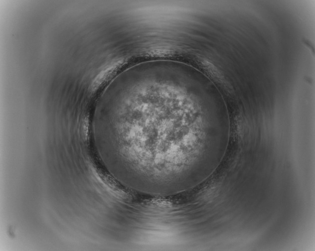 X0000103240640200808281442