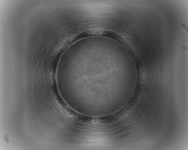 X0000103240641200808281442