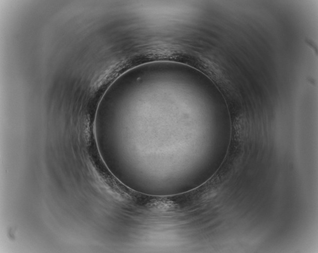 X0000103240642200808281442