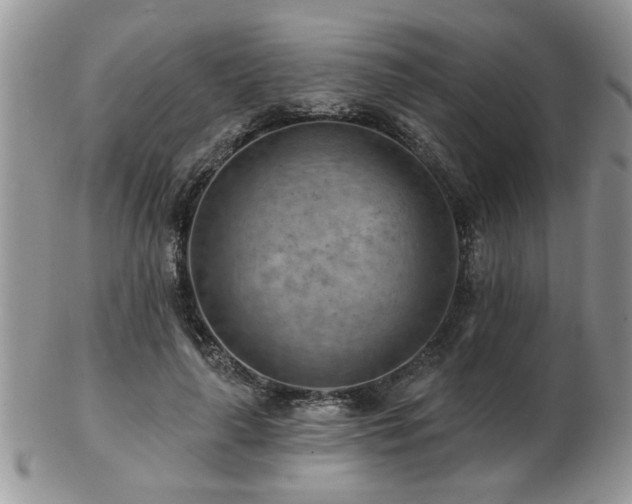 X0000103240643200808281442
