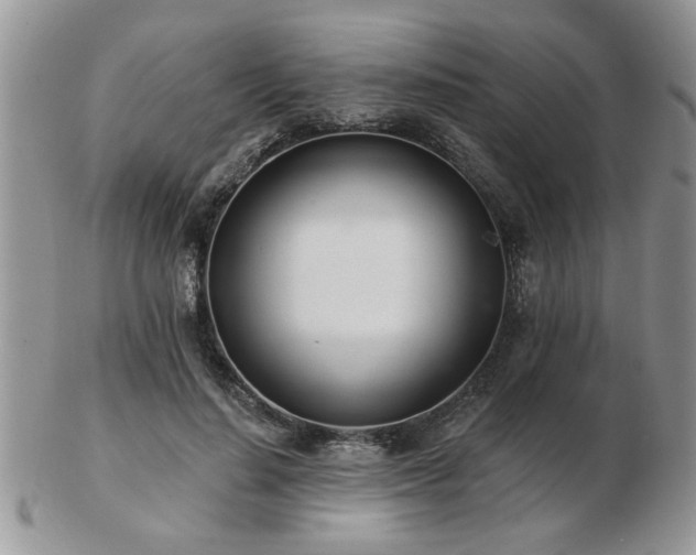 X0000103240644200808281442