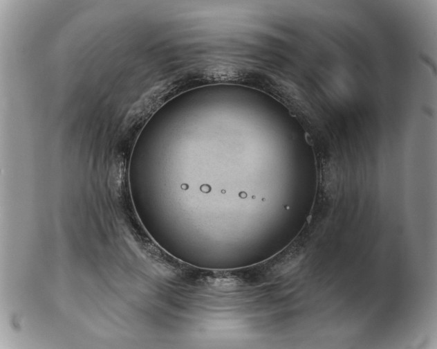 X0000103240645200808281442