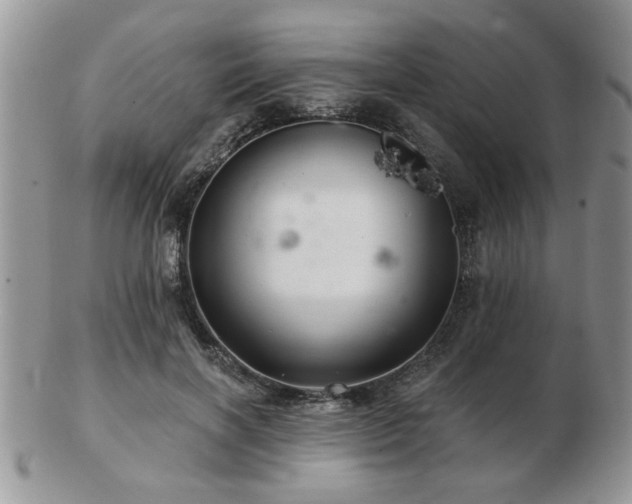 X0000103240646200808281442