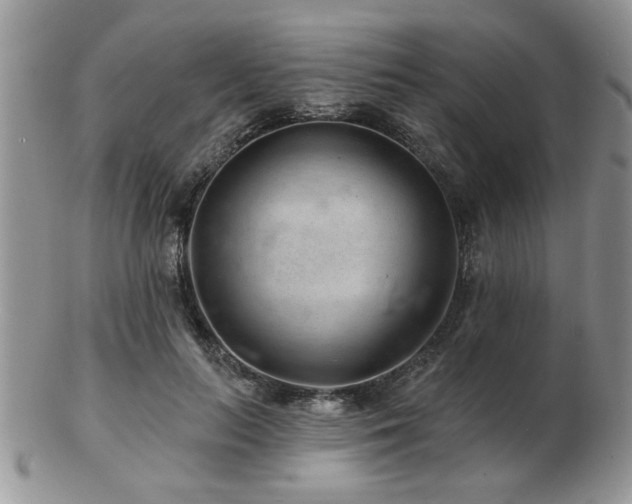X0000103240647200808281442