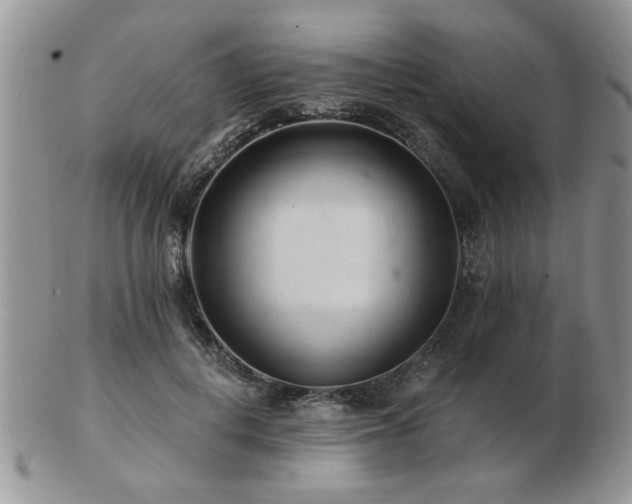 X0000103240648200808281442