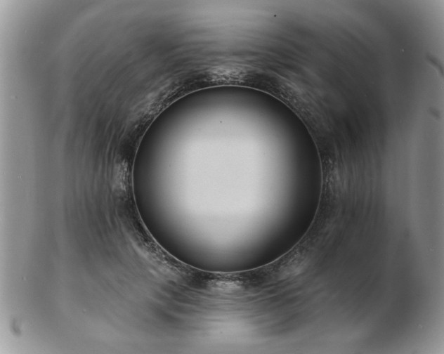 X0000103240649200808281442