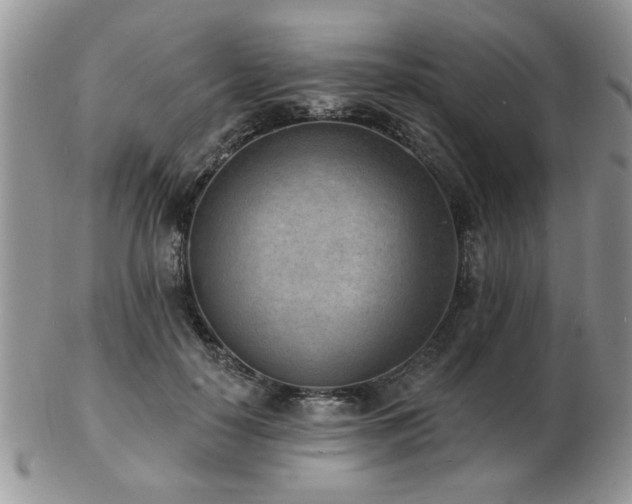 X0000103240650200808281442