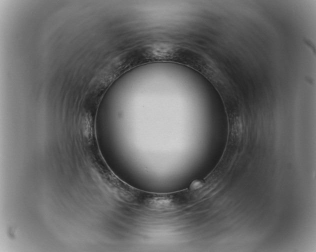 X0000103240651200808281442