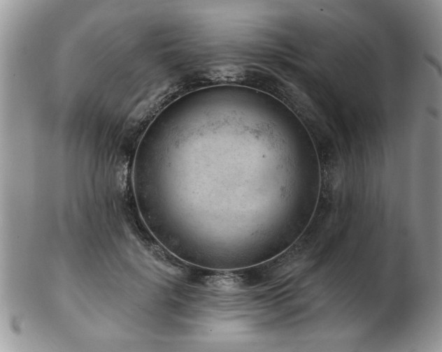 X0000103240652200808281442