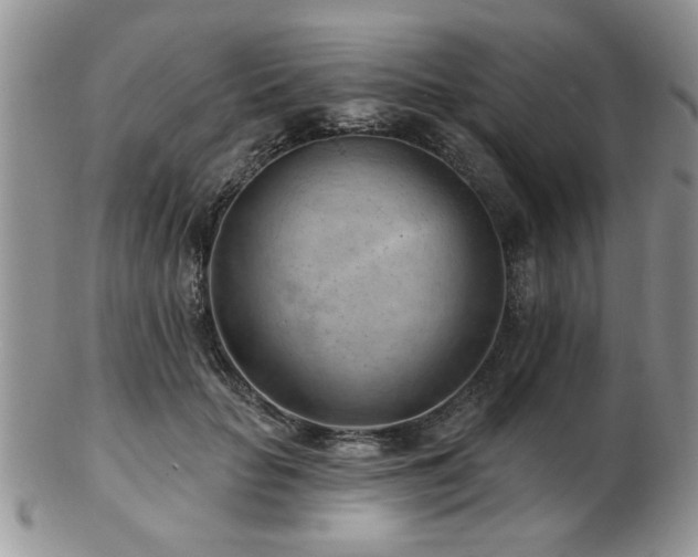 X0000103240653200808281442