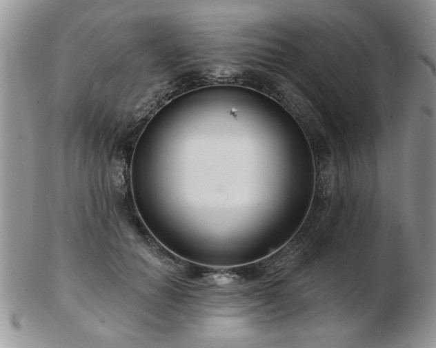 X0000103240654200808281442