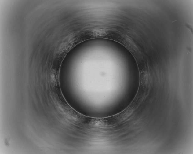 X0000103240655200808281442