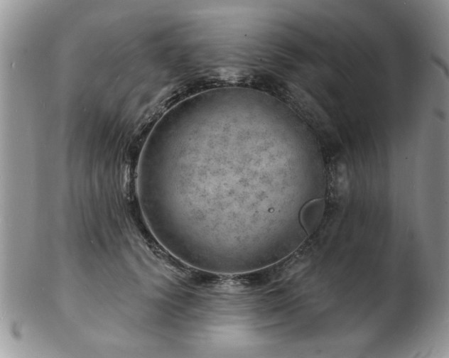 X0000103240656200808281442