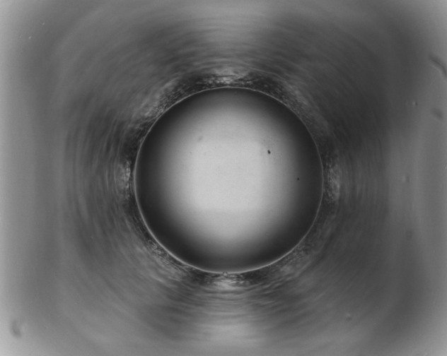 X0000103240657200808281442