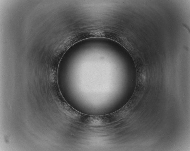X0000103240658200808281442