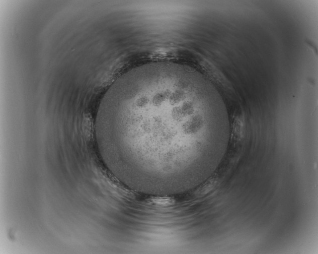 X0000103240659200808281442