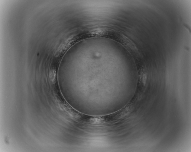 X0000103240660200808281442