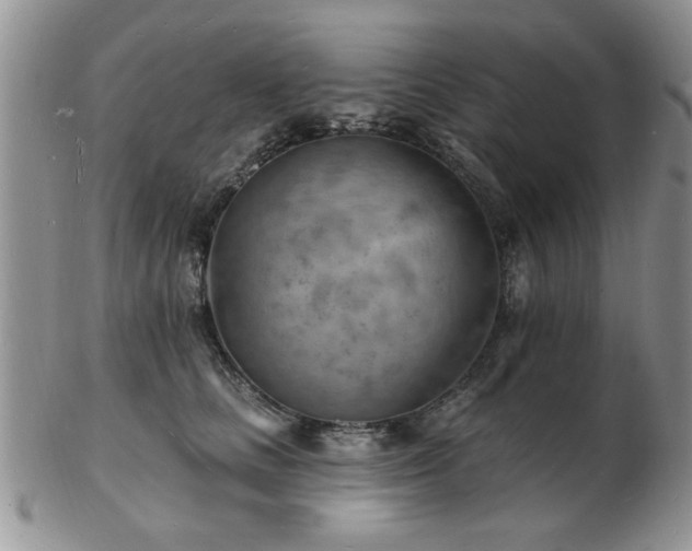 X0000103240661200808281442