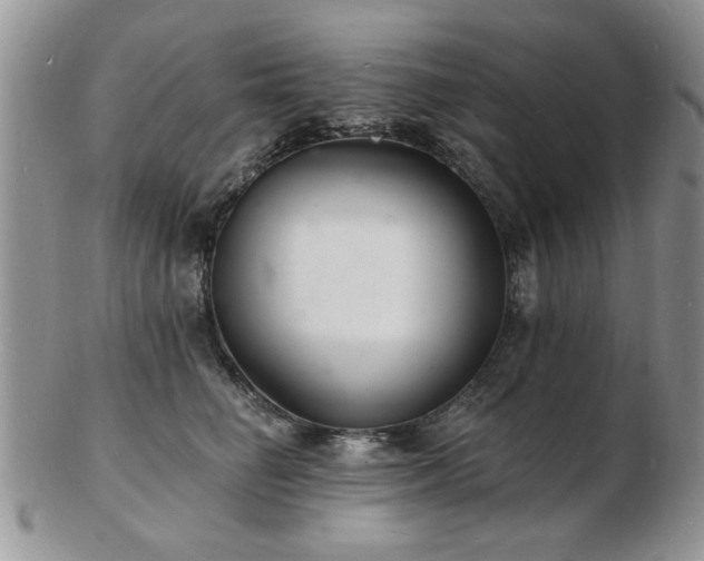 X0000103240662200808281442