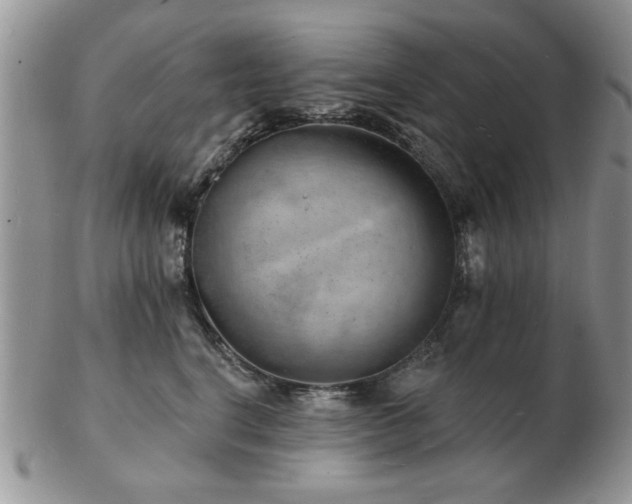 X0000103240664200808281442