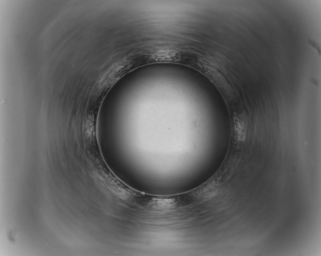 X0000103240665200808281442