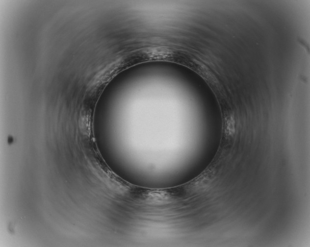 X0000103240666200808281442