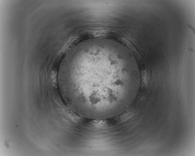 X0000103240667200808281442