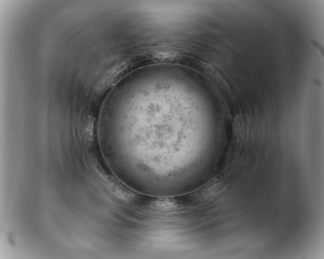 X0000103240668200808281442