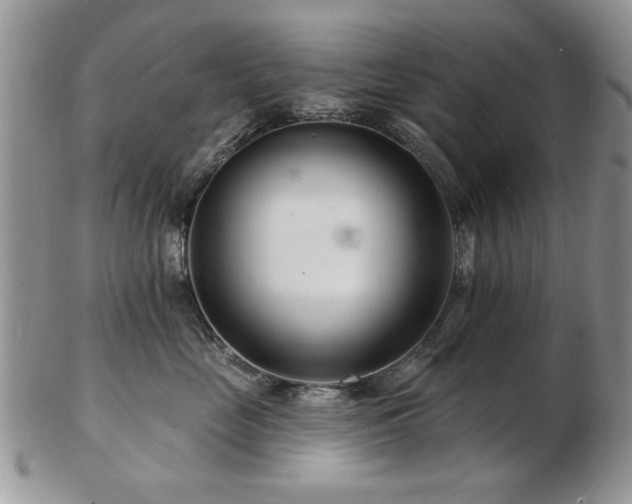 X0000103240669200808281442