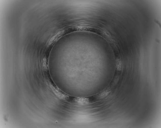 X0000103240670200808281442