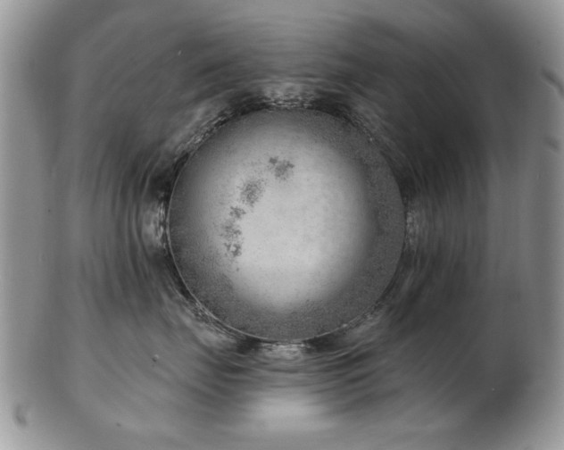 X0000103240671200808281442