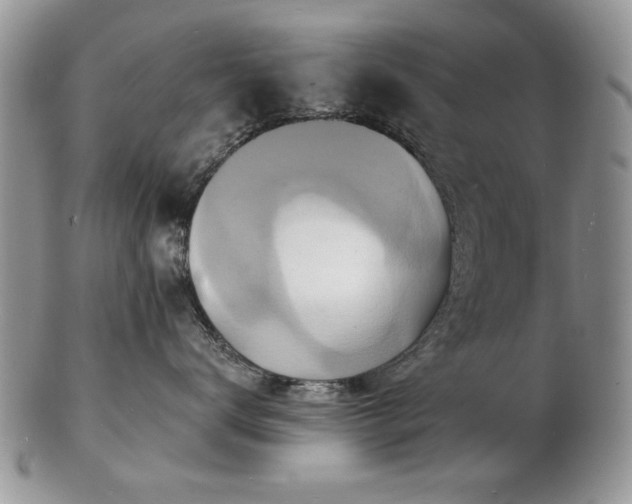 X0000103240672200808281442