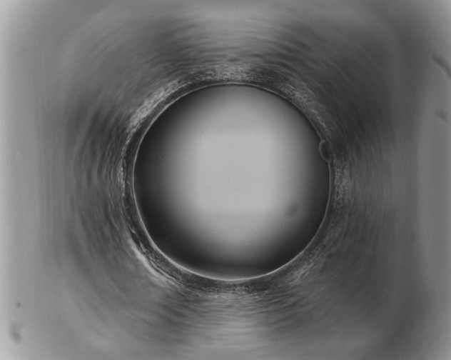 X0000103240674200808281442