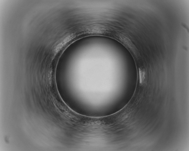 X0000103240675200808281442