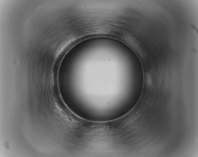 X0000103240676200808281442