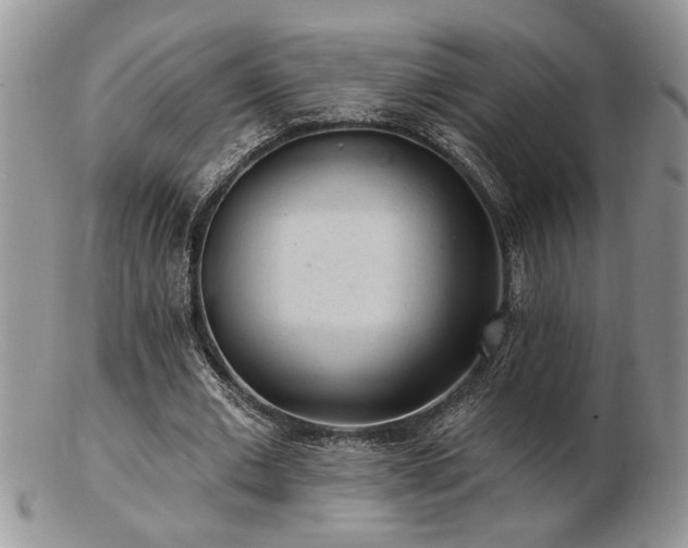 X0000103240677200808281441